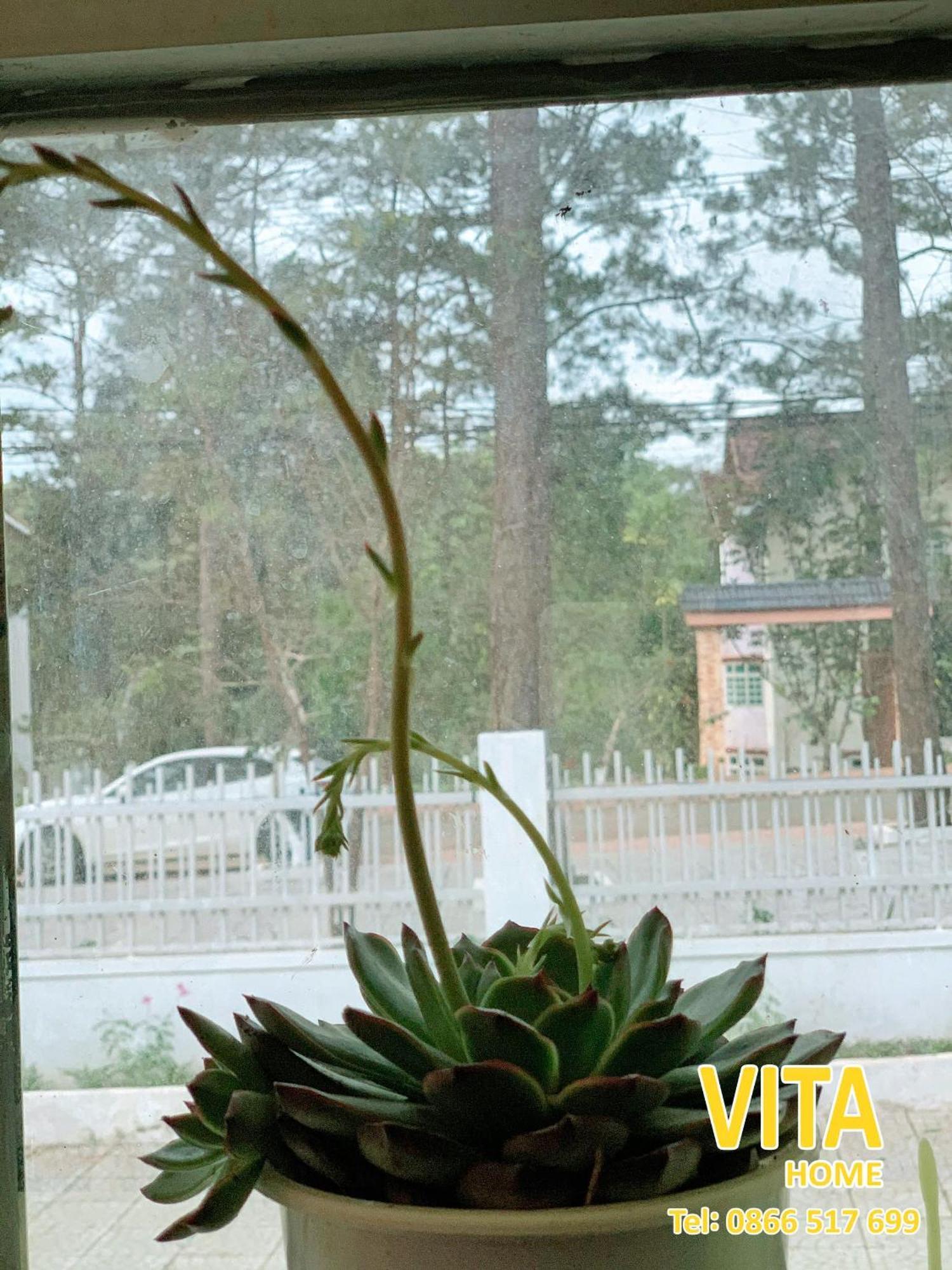 Vita Homestay Mang Den Kon Von Kla Bagian luar foto